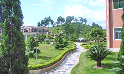 CgAGTFjSIQ2ANulBAAISGB3Uh-I593